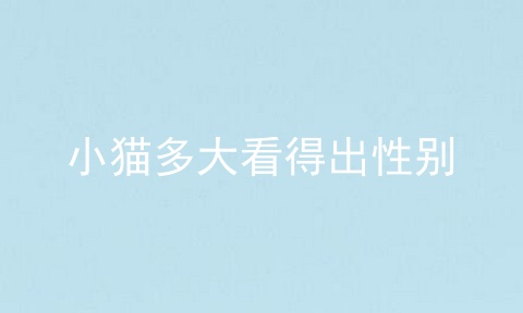 小猫多大看得出性别