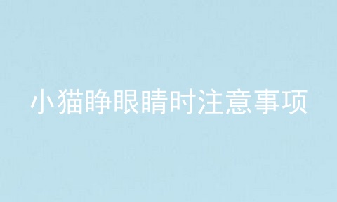 小猫睁眼睛时注意事项