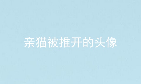 亲猫被推开的头像
