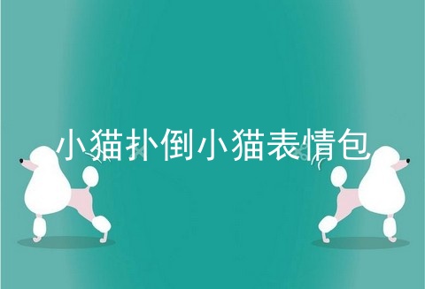 小猫扑倒小猫表情包