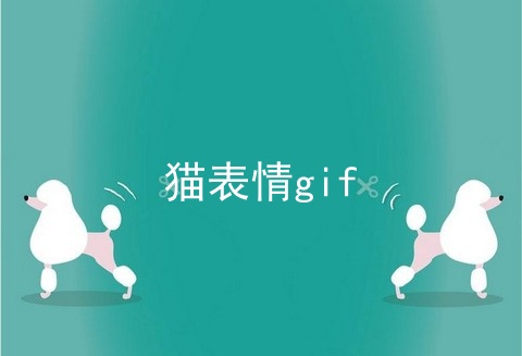 猫表情gif