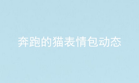 奔跑的猫表情包动态