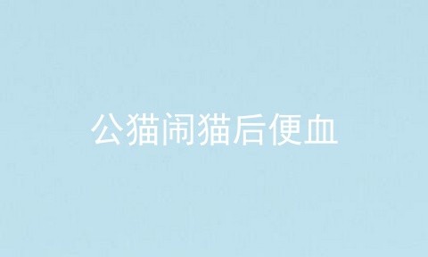 公猫闹猫后便血