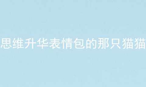 思维升华表情包的那只猫猫
