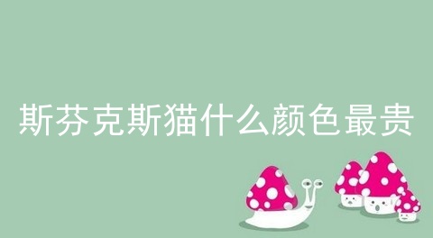 斯芬克斯猫什么颜色最贵