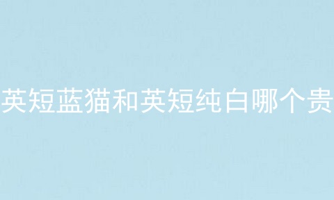 英短蓝猫和英短纯白哪个贵