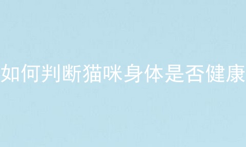 如何判断猫咪身体是否健康