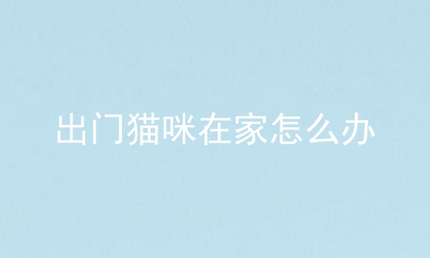 出门猫咪在家怎么办