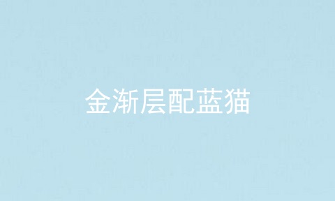 金渐层配蓝猫