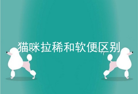 猫咪拉稀和软便区别