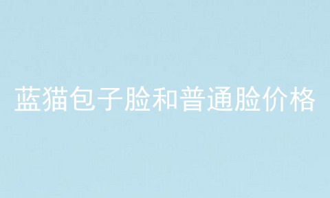 蓝猫包子脸和普通脸价格
