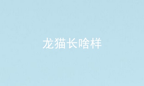 龙猫长啥样