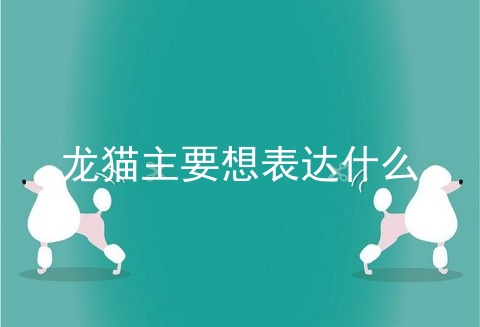 龙猫主要想表达什么