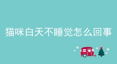 猫咪白天不睡觉怎么回事
