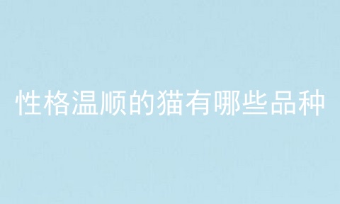 性格温顺的猫有哪些品种