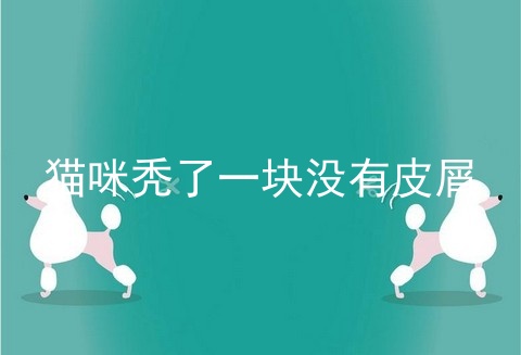 猫咪秃了一块没有皮屑