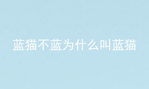 蓝猫不蓝为什么叫蓝猫
