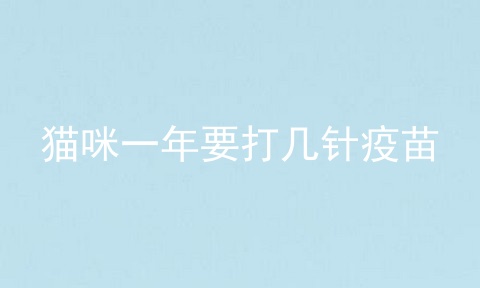 猫咪一年要打几针疫苗