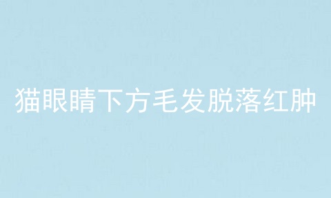 猫眼睛下方毛发脱落红肿