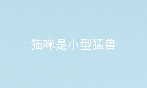 猫咪是小型猛兽