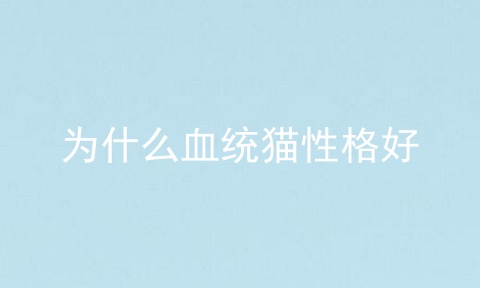 为什么血统猫性格好