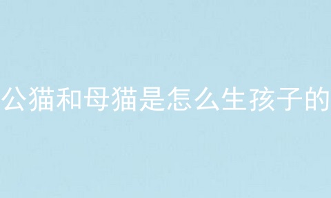 公猫和母猫是怎么生孩子的
