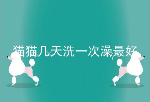 猫猫几天洗一次澡最好