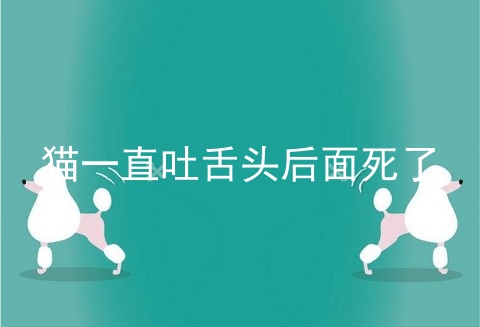 猫一直吐舌头后面死了