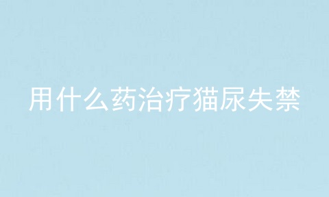 用什么药治疗猫尿失禁