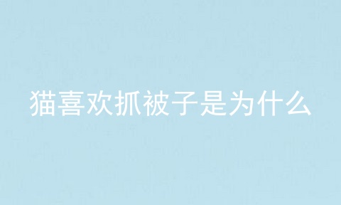 猫喜欢抓被子是为什么