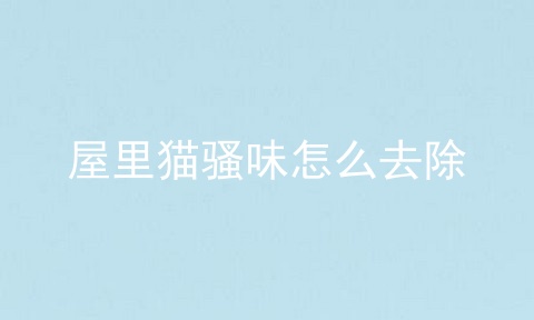 屋里猫骚味怎么去除