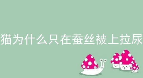 猫为什么只在蚕丝被上拉尿