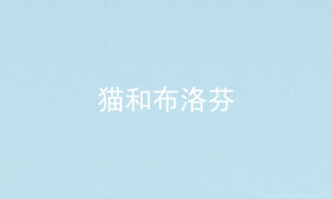 猫和布洛芬