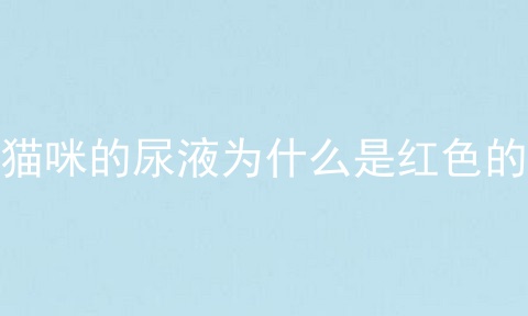 猫咪的尿液为什么是红色的