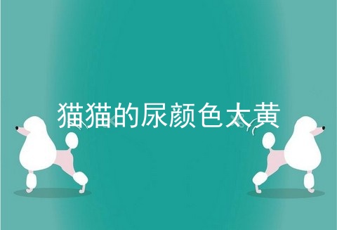 猫猫的尿颜色太黄