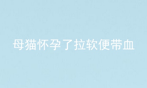 母猫怀孕了拉软便带血