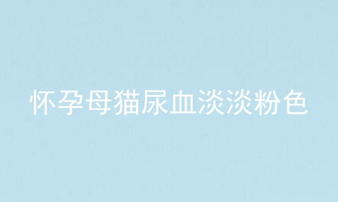 怀孕母猫尿血淡淡粉色