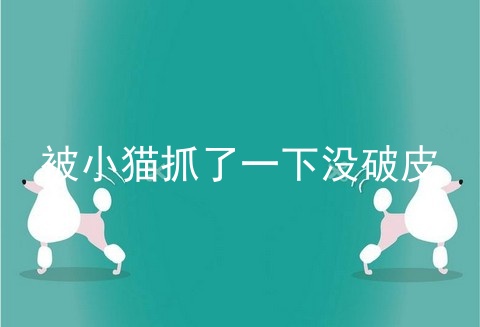 被小猫抓了一下没破皮