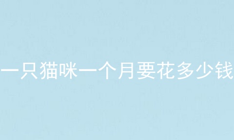 一只猫咪一个月要花多少钱
