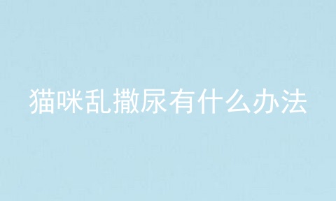 猫咪乱撒尿有什么办法