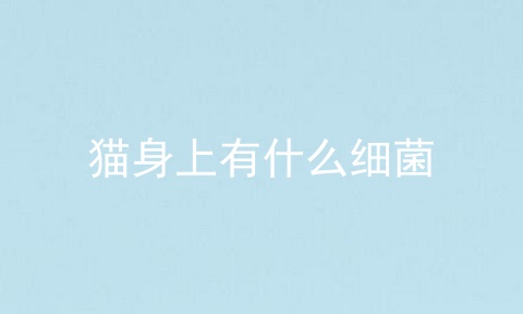猫身上有什么细菌