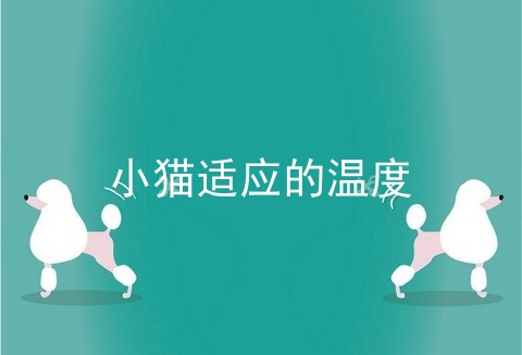小猫适应的温度