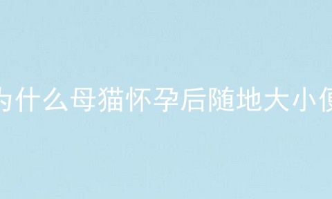 为什么母猫怀孕后随地大小便
