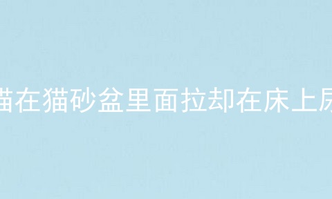 猫在猫砂盆里面拉却在床上尿