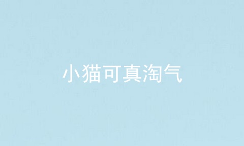小猫可真淘气