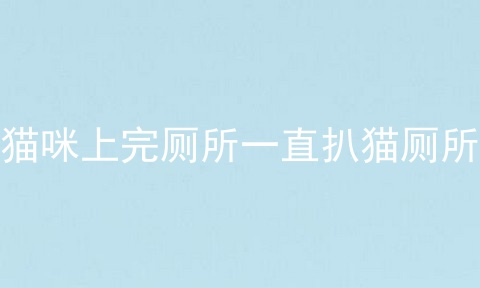 猫咪上完厕所一直扒猫厕所