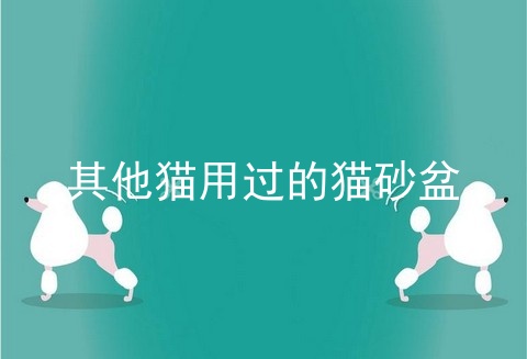 其他猫用过的猫砂盆