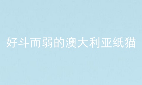 好斗而弱的澳大利亚纸猫