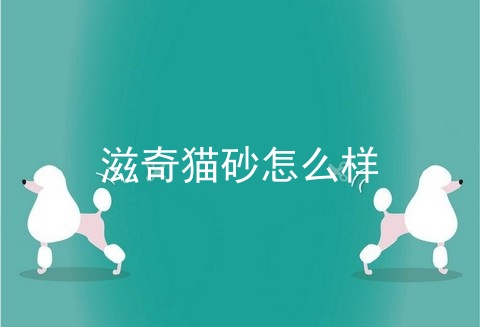 滋奇猫砂怎么样