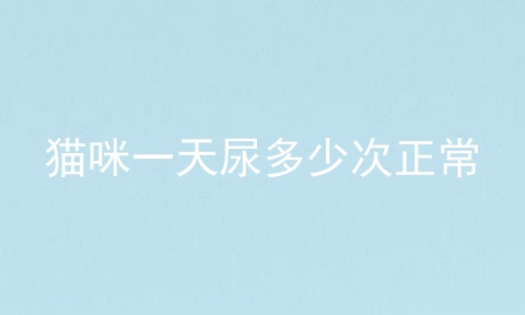 猫咪一天尿多少次正常